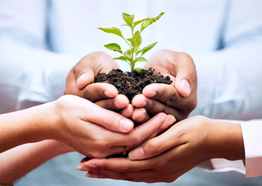 Como o ESG Pode Aumentar o Lucro da Sua Empresa