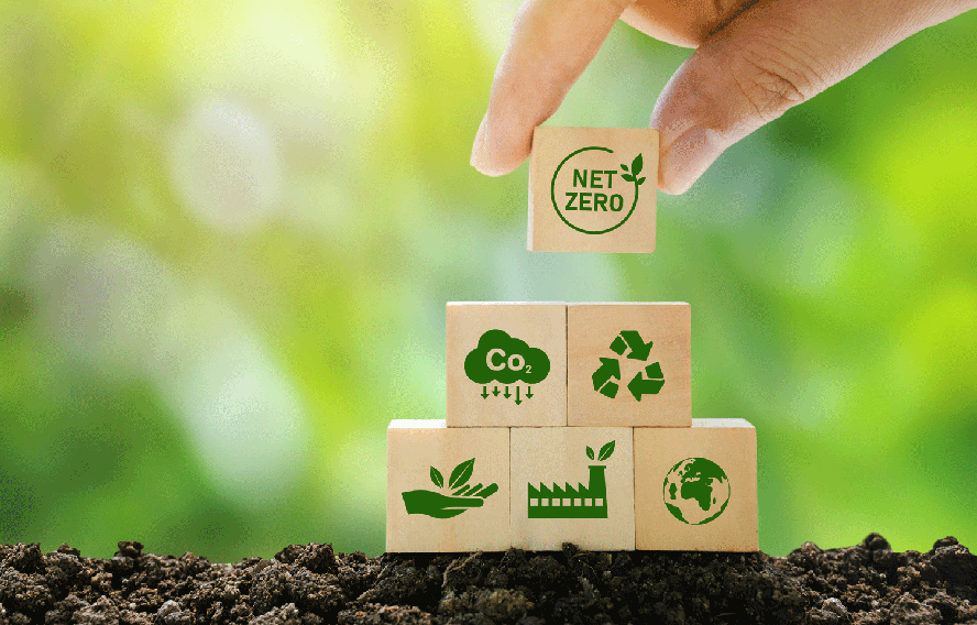 O Futuro é Verde: Prepare Seu Negócio para a Economia Sustentável