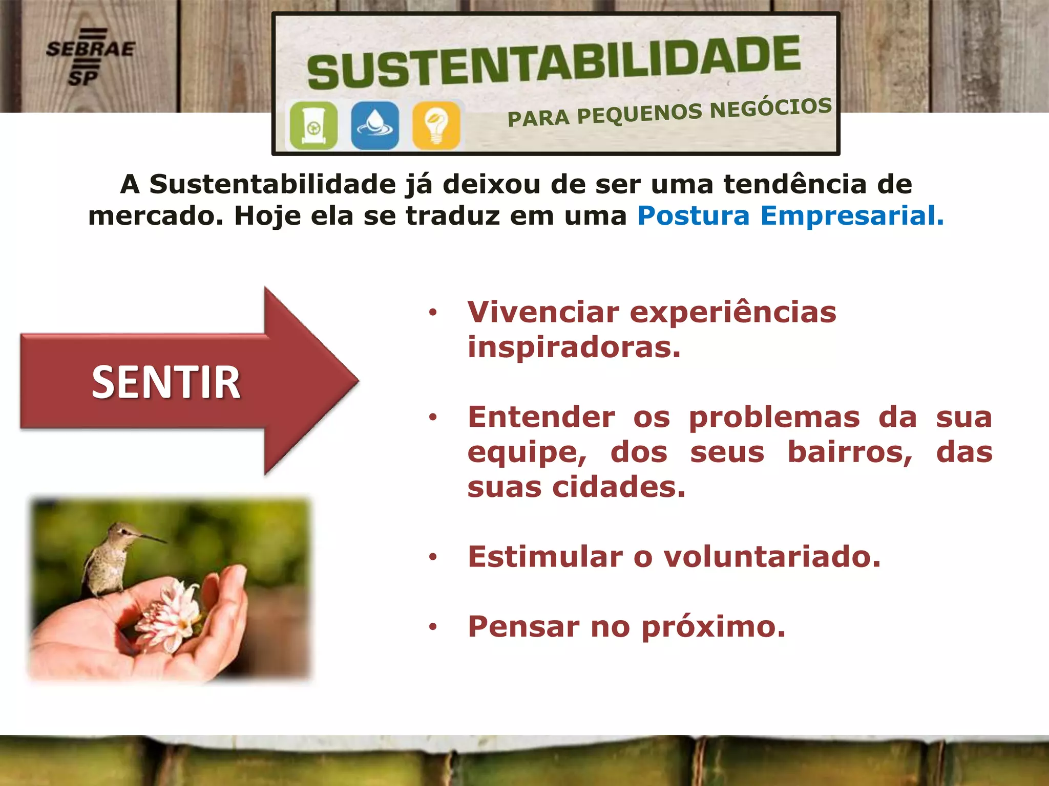 Guia Completo do Selo ESG Sebrae: Benefícios e Como Obter
