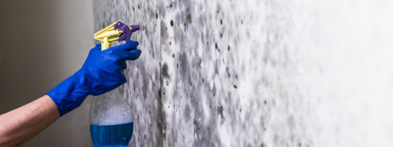 Guia completo de tintas anti-mofo