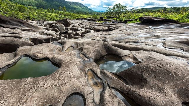 Dicas de Segurança para Trekking no Cerrado do DF