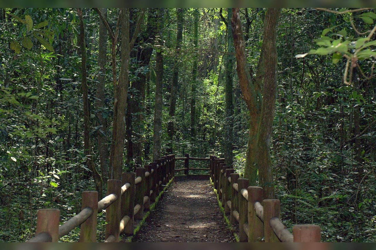 Guia Completo da Trilha da Capivara no Parque Nacional de Brasília