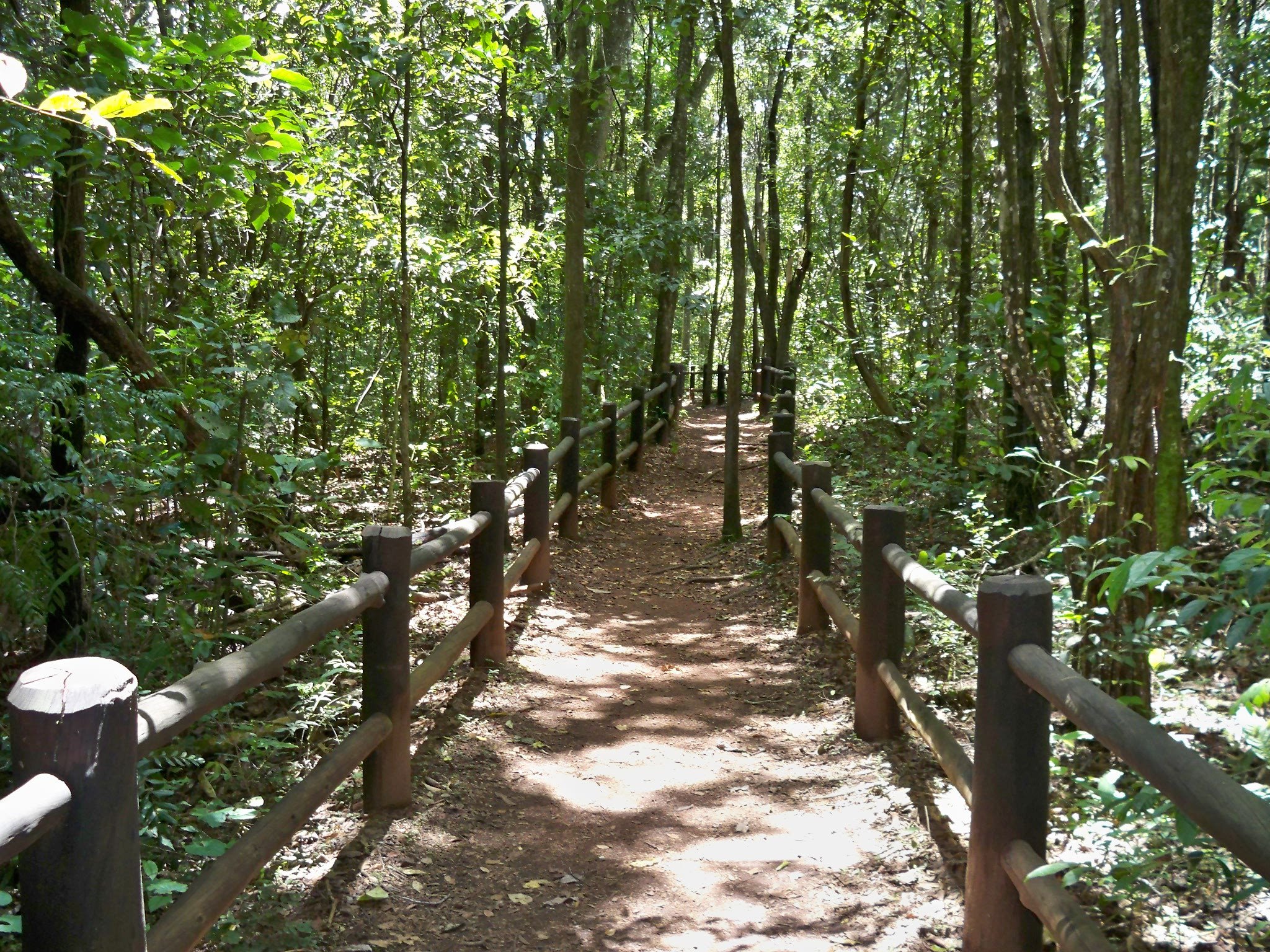 trilhas no parque nacional de brasília