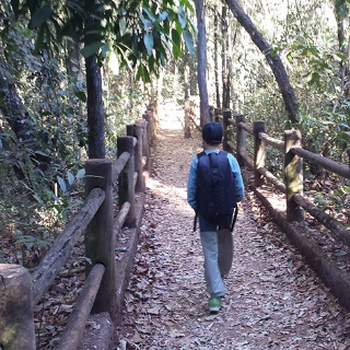 Guia Completo da Trilha da Capivara no Parque Nacional de Brasília