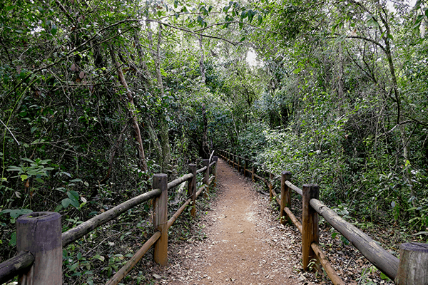 Dicas de Segurança e Recomendações para sua Trilha no Parque Nacional de Brasília