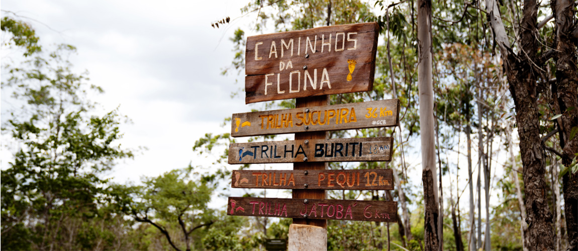 A Nova Trilha Arco Brasília: Conectando o Parque Nacional e a FLONA