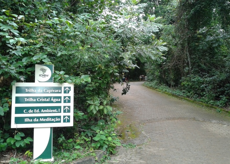 Dicas de Segurança e Recomendações para sua Trilha no Parque Nacional de Brasília