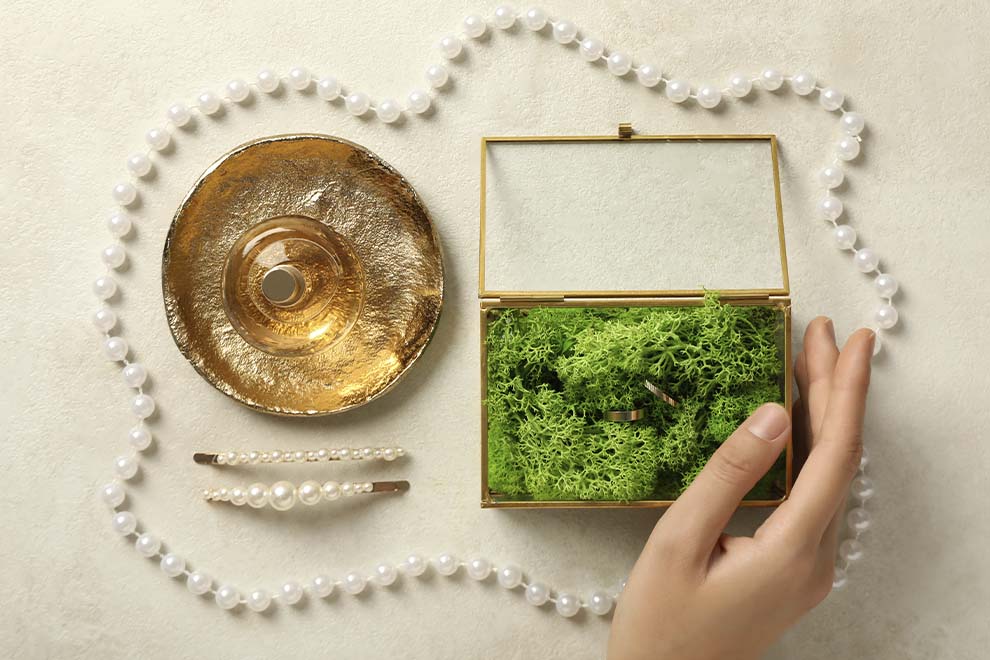 5 ideias de títulos