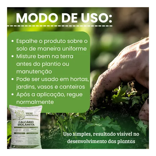 Guia Completo: Análise de Solo para sua Horta