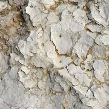 As Melhores Plantas para Solos Ácidos