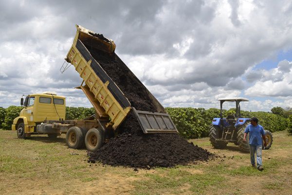 Recuperação de áreas degradadas com biossólidos: estudos de caso