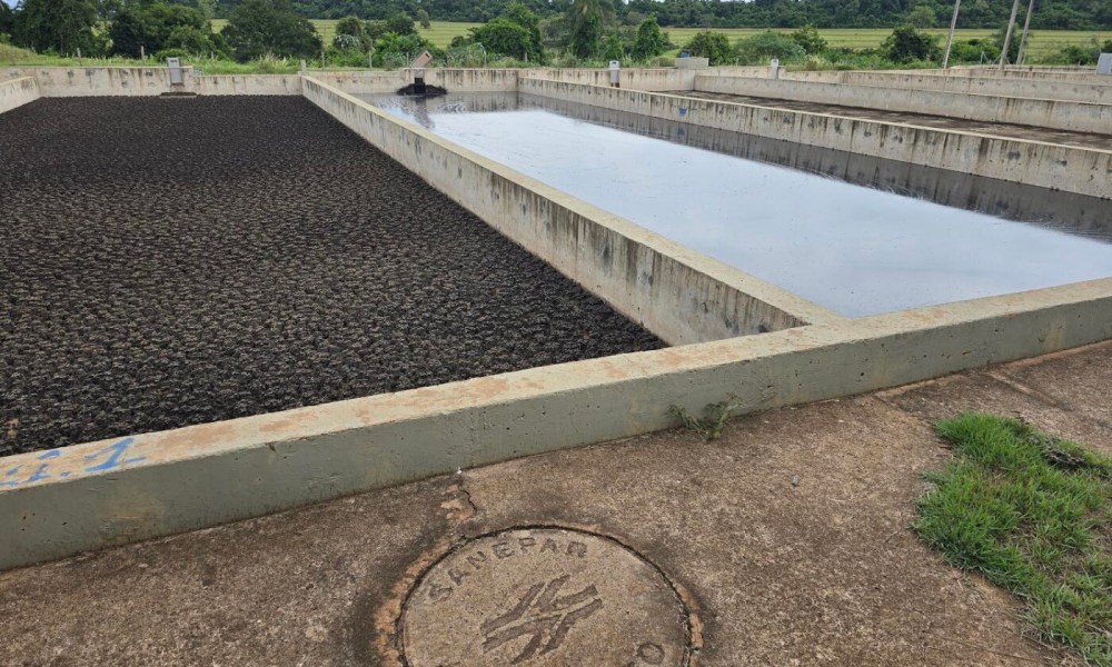 Os 5 principais riscos do uso inadequado de lodo na agricultura