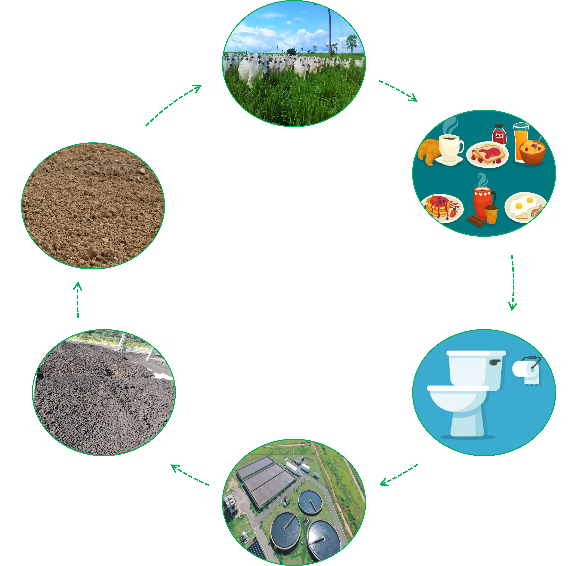 Como obter licenciamento ambiental para uso de biossólidos