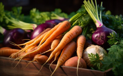 Guia Completo: Manejo Pós-Colheita de Espinafre