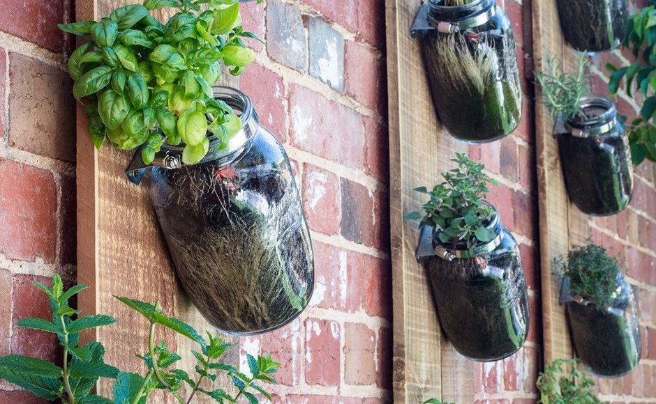 Soluções criativas para fixar sua horta na parede