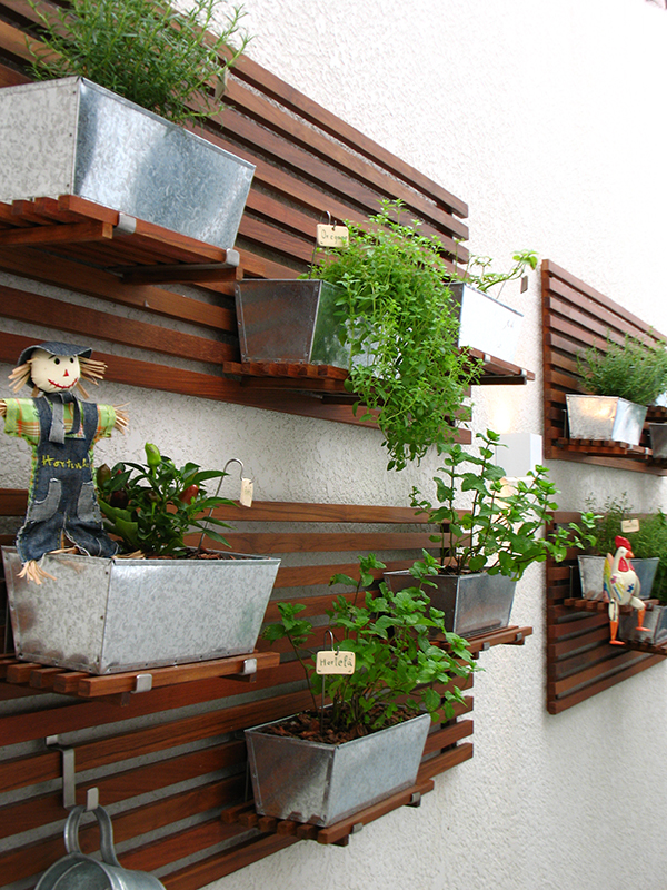 Como escolher o vaso ideal para sua horta vertical