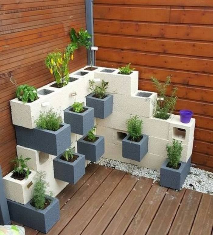 Ervas medicinais para sua horta vertical