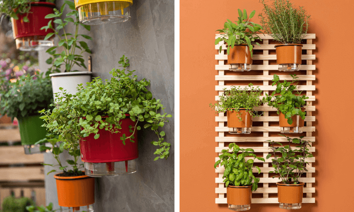 verduras para horta em parede de tijolo