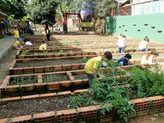 Guia completo de adubação para hortas suspensas