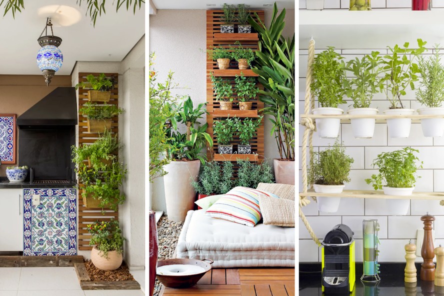 Como escolher o vaso ideal para sua horta vertical