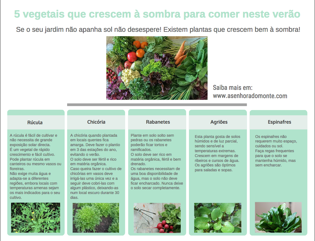 verduras para plantar em áreas de sombra