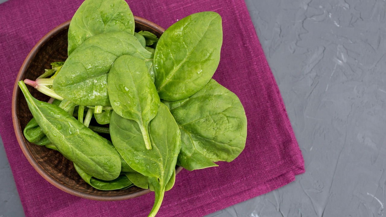 O que é sombra parcial e como aplicá-la na sua horta