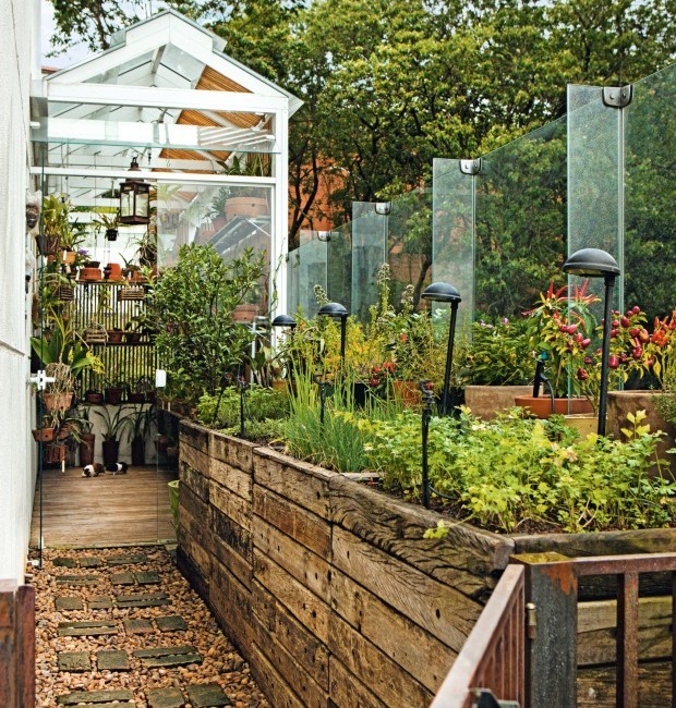 verduras para plantar em canteiros elevados