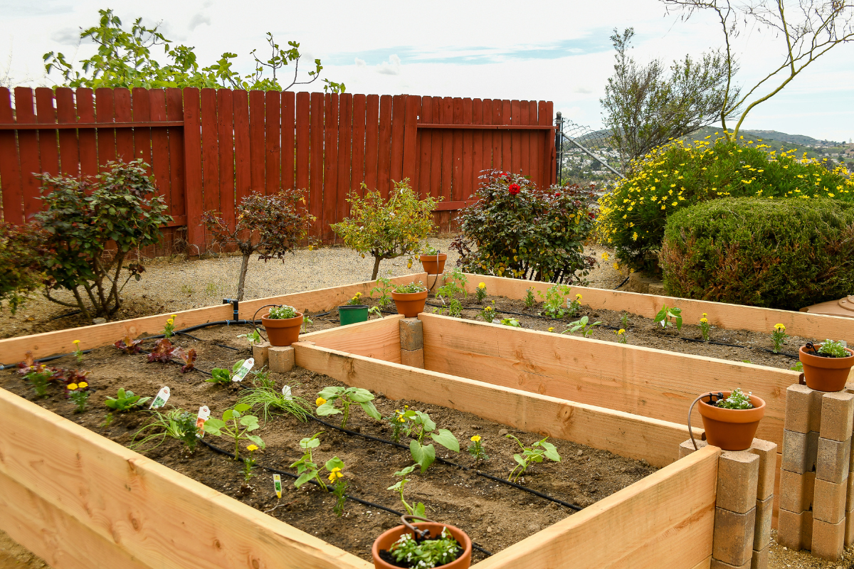 Guia completo de misturas de terra para canteiros elevados