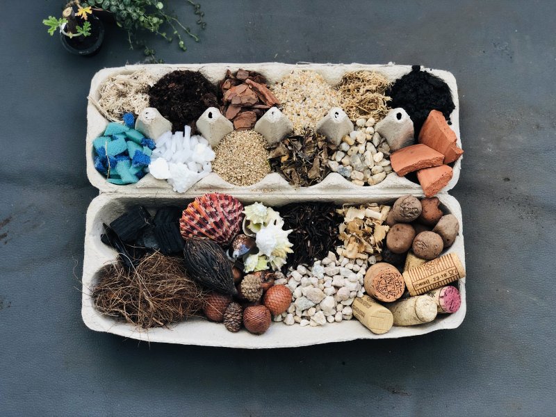 Plantas de cobertura para solos arenosos