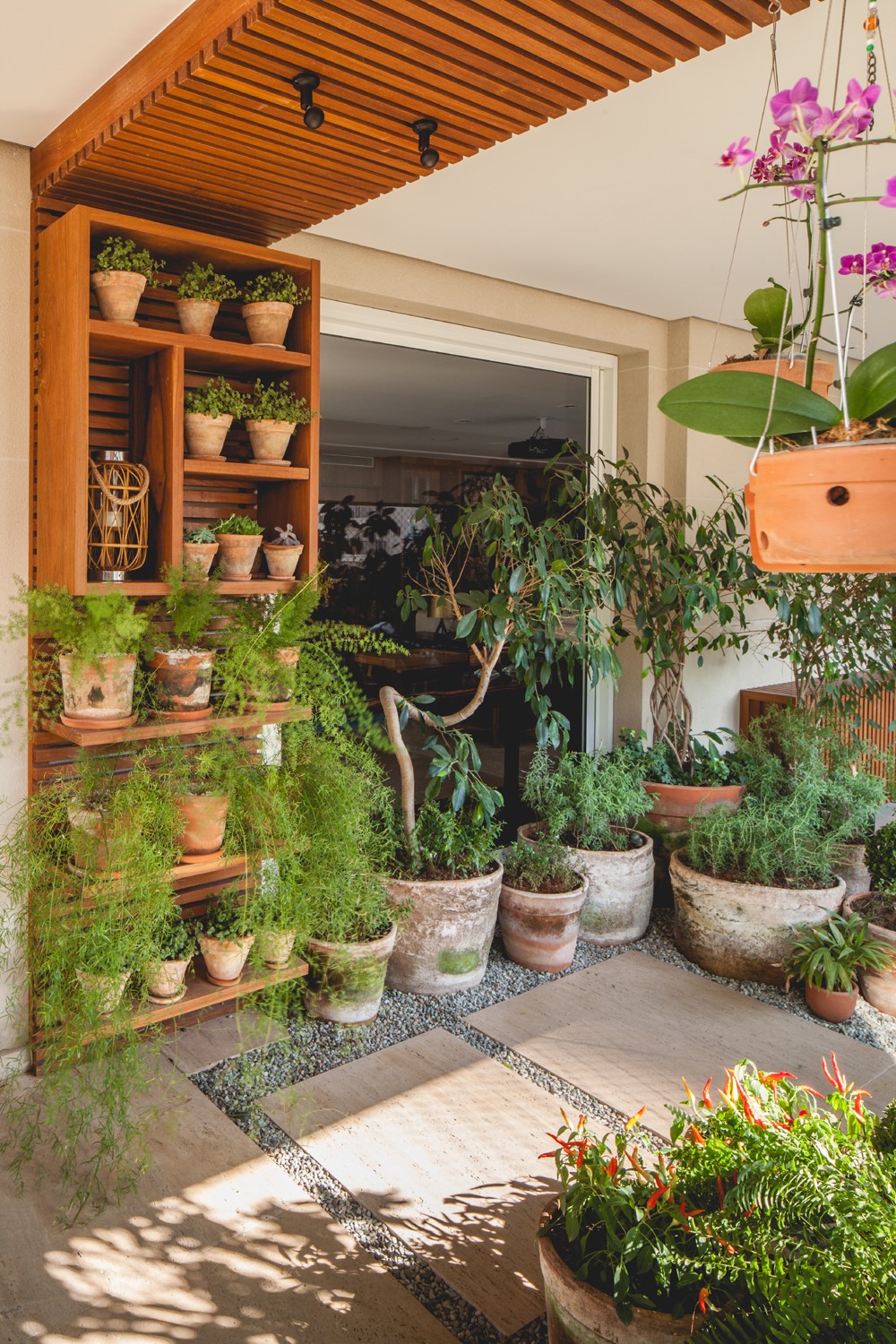 verduras para plantar em vasos de barro