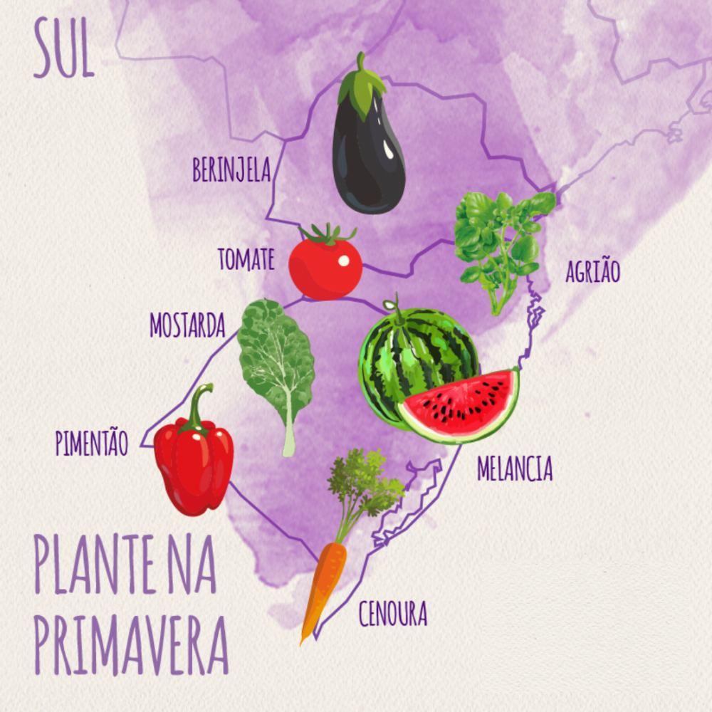 5 ideias de títulos