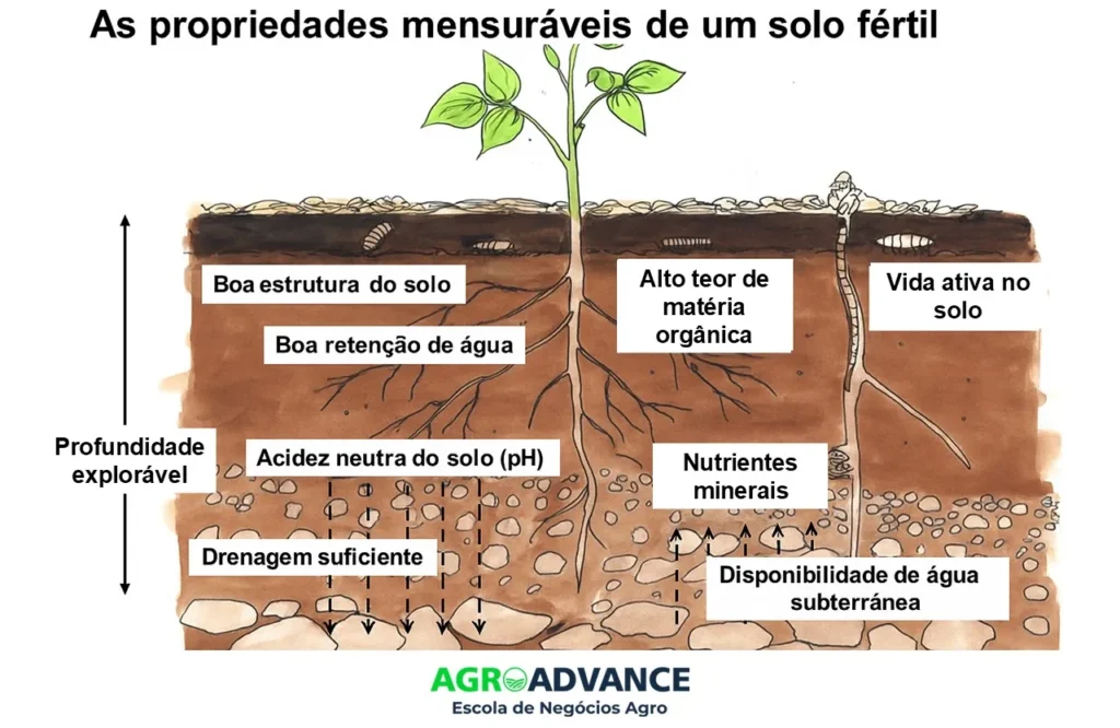 Além do Mirtilo: Outras Frutas Exóticas que Amam Solo Ácido