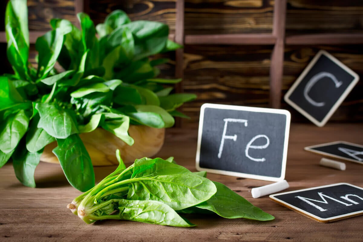 5 Alimentos Ricos em Ferro para Incluir na Dieta