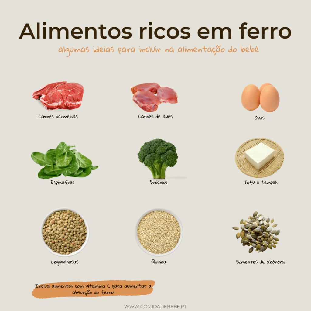 Guia Completo de Hidroponia Caseira