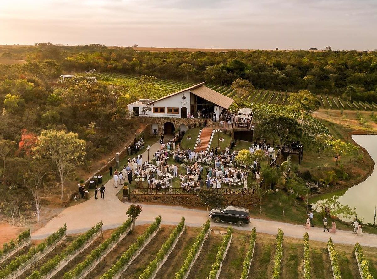 vinho de brasília vinícolas para visitar