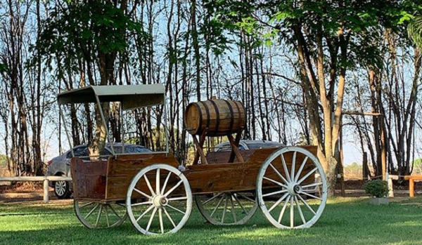 Além do DF: Descubra as Vinícolas de Goiás Próximas a Brasília