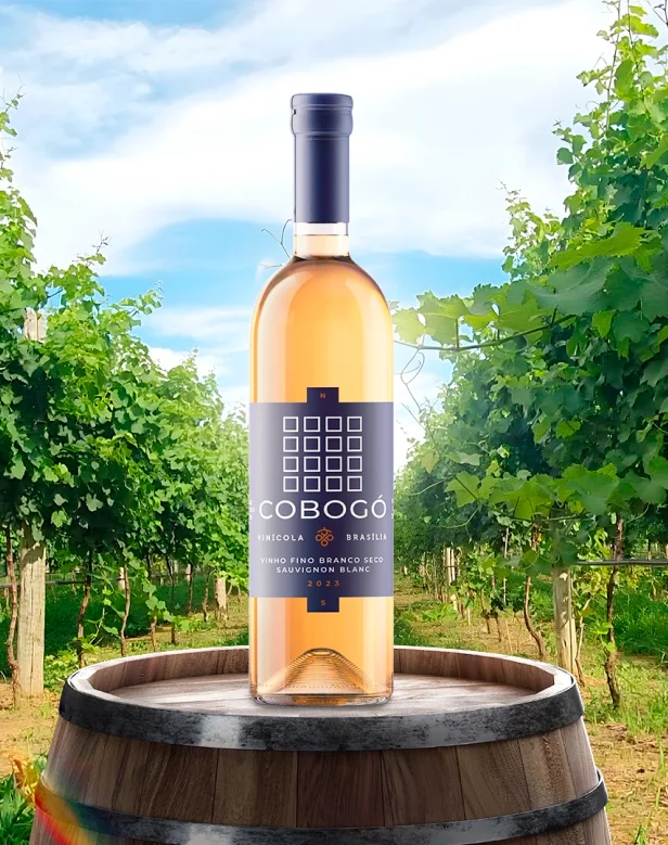 Harmonização Perfeita: Como Combinar Vinhos do Cerrado com Comidas Típicas