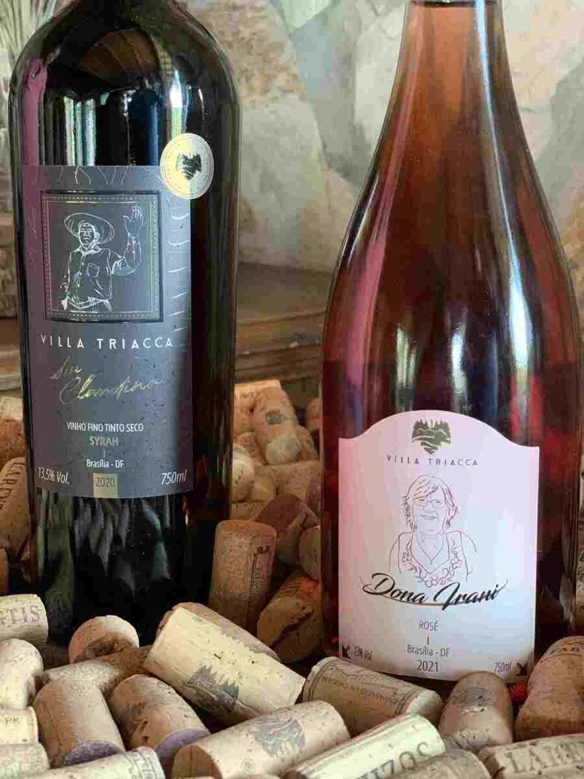 Além do DF: Descubra as Vinícolas de Goiás Próximas a Brasília