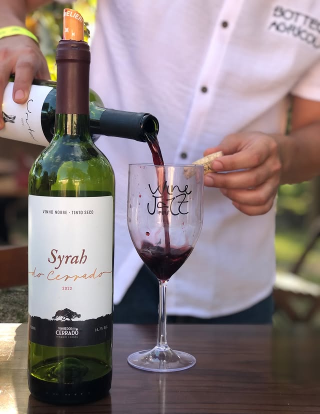 Harmonização Perfeita: Como Combinar Vinhos do Cerrado com Comidas Típicas