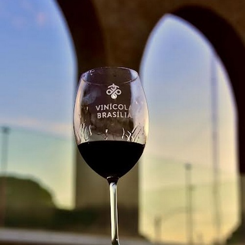 Além do DF: Descubra as Vinícolas de Goiás Próximas a Brasília