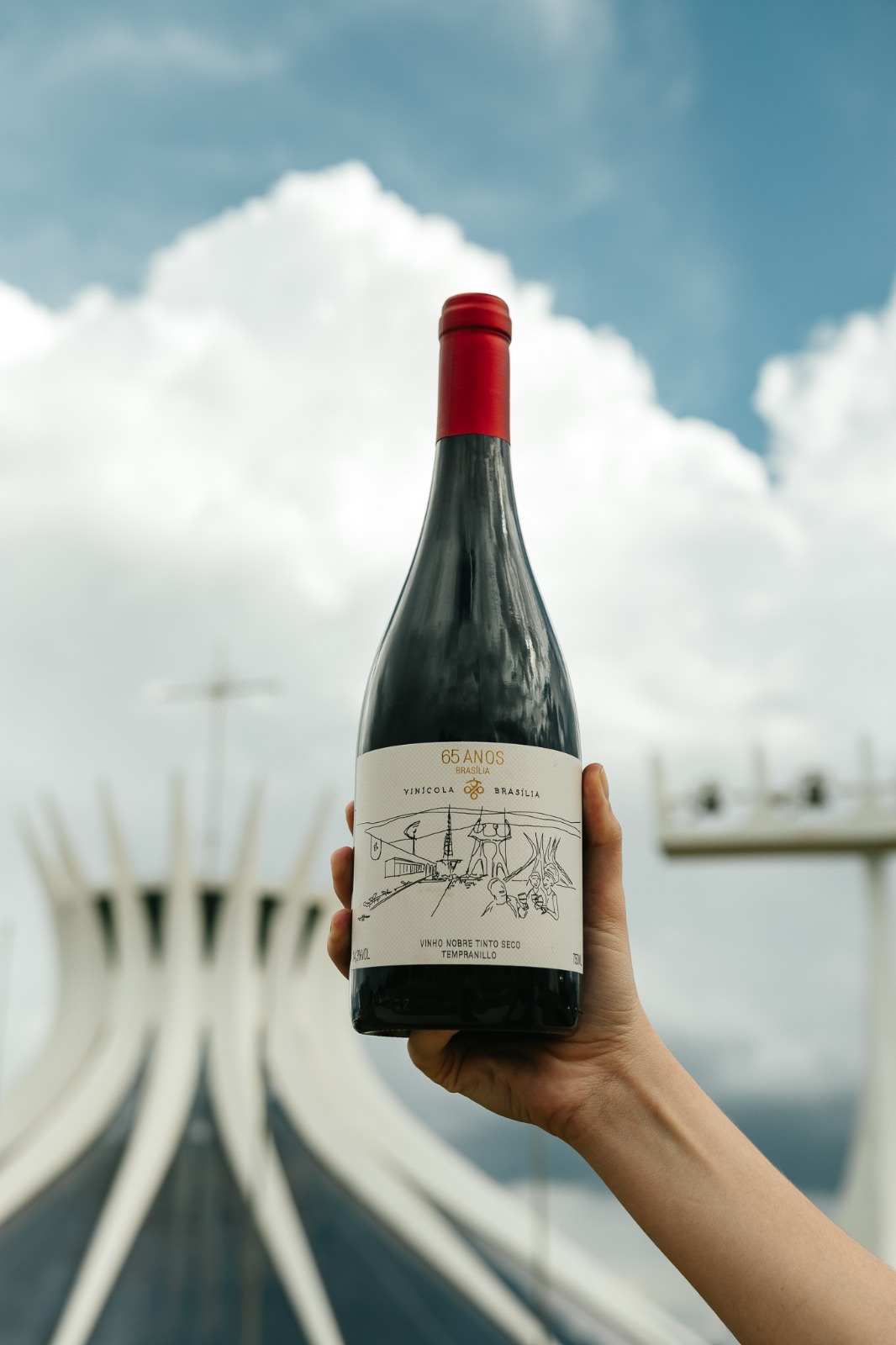 Guia Completo de Enoturismo no DF: Vinícolas Imperdíveis