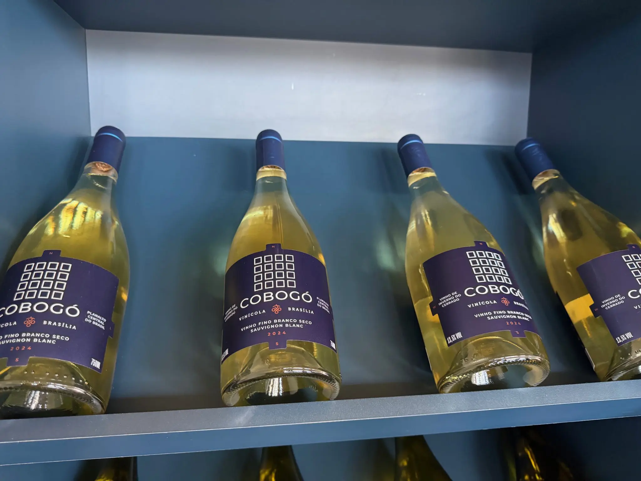 Harmonização Perfeita: Como Combinar Vinhos do Cerrado com Comidas Típicas