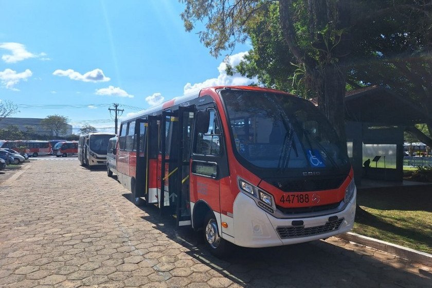 Guia completo dos aplicativos para acompanhar o Zebrinha