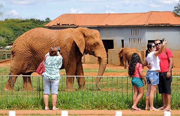 Dicas para aproveitar ao máximo sua visita ao Zoológico de Brasília