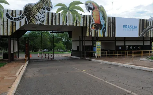 Zoológico de Brasília: Conheça os animais e suas características