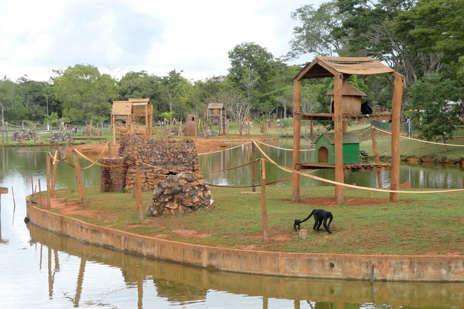 Planejando seu passeio: Horários e preços atualizados do Zoológico de Brasília