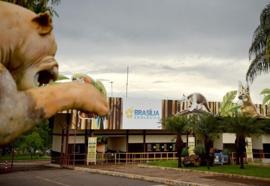 Família no Zoo: Atividades e atrações para crianças no Zoológico de Brasília