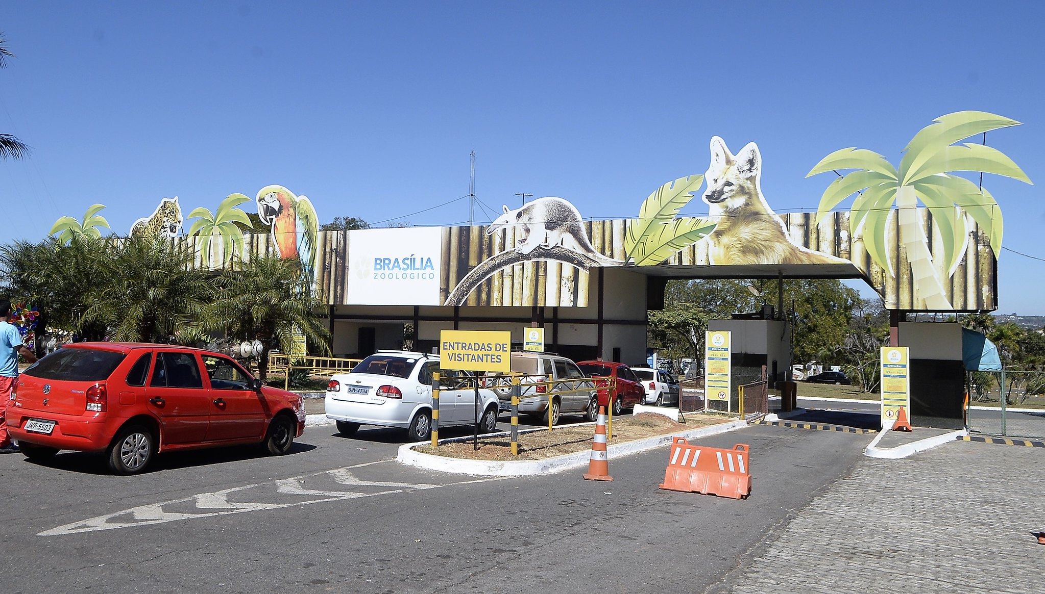 Dicas para aproveitar ao máximo sua visita ao Zoológico de Brasília